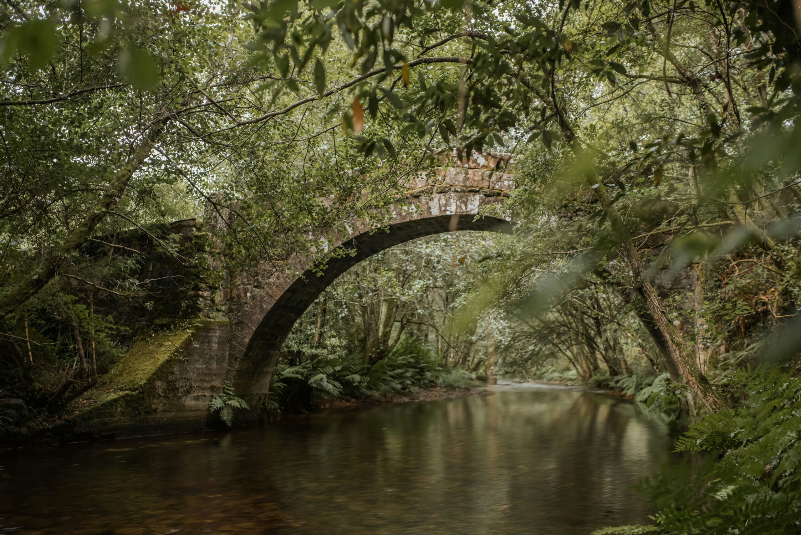lydia logga ttop7wu7p5m unsplash